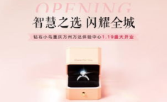 重庆钻石小鸟,璀璨珠宝，匠心传承