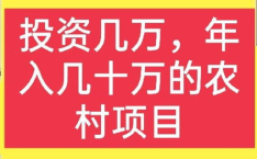 在农村现在做什么生意赚钱,挖掘潜力，开启致富之门