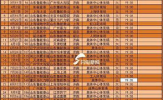 中超鲁能赛程,激情征程，逐梦绿茵