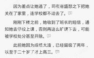 陆琰程念念小说阅读,陆琰与程念念的情感纠葛