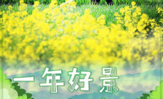 一年好景在春耕,播种希望，共绘丰收画卷