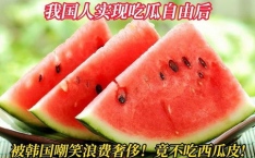 中国吃瓜网站,网络舆论场上的“瓜王”风云
