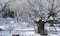 北京大雪,鹅毛飞舞，银装素裹，城市换新颜