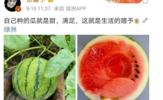 娱乐圈的瓜可以吃,揭秘明星幕后故事