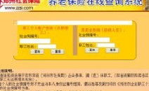 郑州养老保险查询,便捷途径解锁个人账户详情