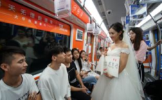 地铁求婚,见证爱情誓言的数字樱花大道