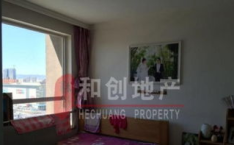 海城租房信息,热门房源盘点与租赁技巧解析