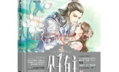畅销言情小说,畅销言情小说中的爱恨情仇