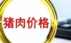 猪肉涨价 预计持续到年底,供需失衡与消费旺季的双重影响