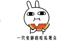 吃瓜各种热门事件,热点事件深度解析与吃瓜指南