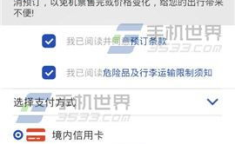 国航机票查询,轻松掌握航班信息与预订技巧”