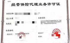 全国保险代理牌照,开启保险市场新纪元的关键钥匙