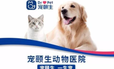 宠物咨询,全方位咨询指南
