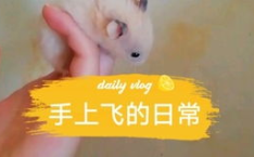 吃瓜娱乐背景板,揭秘那些不为人知的幕后故事