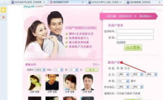 世纪佳缘征婚网,中国领先婚恋交友平台的发展历程与现状