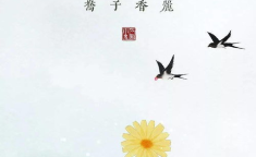描写春风的诗句,温暖与生命的赞歌