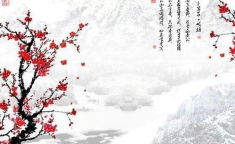 关于梅花的诗词,傲骨凌寒，诗意盎然