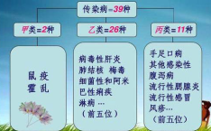 乙类乙管传染病有哪些,27种法定传染病防控策略解析